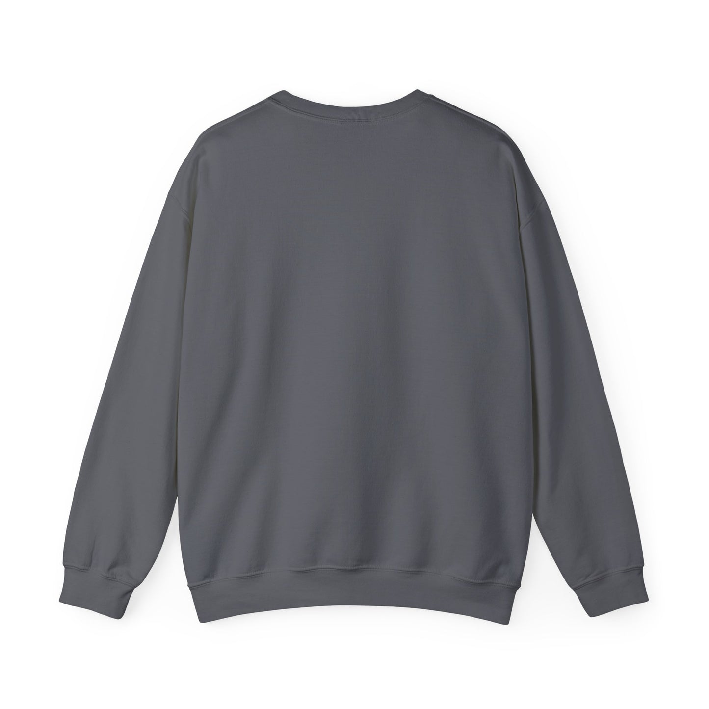 FDT Sweatshirt - Cozy Casual Style